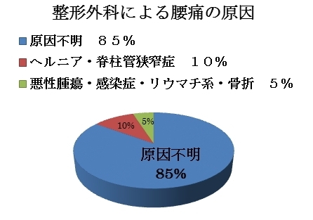 腰痛 原因不明